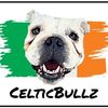 celticbullz