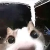 mirunyaaa