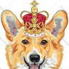 kingcorgi3