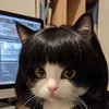 nhimday276