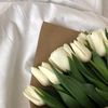 kjd_affiliate