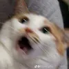 abcdumltk