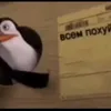 kfg_rozen