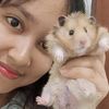 wiwinkle