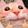 bisakol._123haha