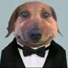 bulba_19
