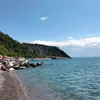 leonessa.8
