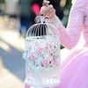 amreenislam116