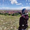 qalamaksara