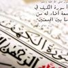 mohamedamine5581