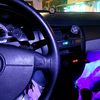 qedimov_555