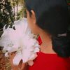 user75250352411424