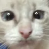 debrasenpai