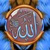 quran24ro