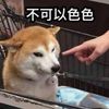 hjffcbbv