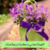 user5572146712012