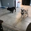 adventuresoflunaandjune