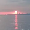 burugundunsoy
