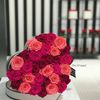 reema_4787