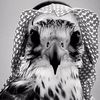 ya_m39