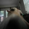 wait.itzjude3