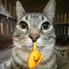 parlus_56