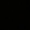 vicent_camell