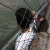mauri_6e