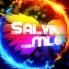 salvijus_mlg2