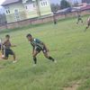 halomoan_517