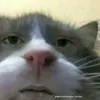 jiejie_070
