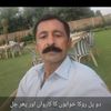 maliktariq994