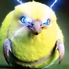 yes_this_ripzet