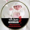ayaibrahim8106