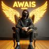 awaisansari6908