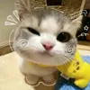lexiii_969