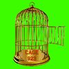 cage923music