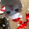 eudewsgy
