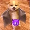 yiiiiiiija