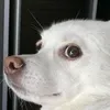 awkayboi
