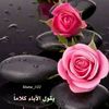 dyhg5rb4t1b2