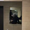 alsosumqueer