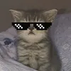 oashob