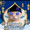 hakim17690