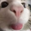 mmmmmmmmm._2