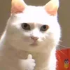 pun_uyn_ne