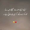 zindalash858