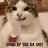 tumtum_156868
