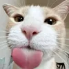 omgkawaiikira_chan