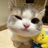 zeexvy_